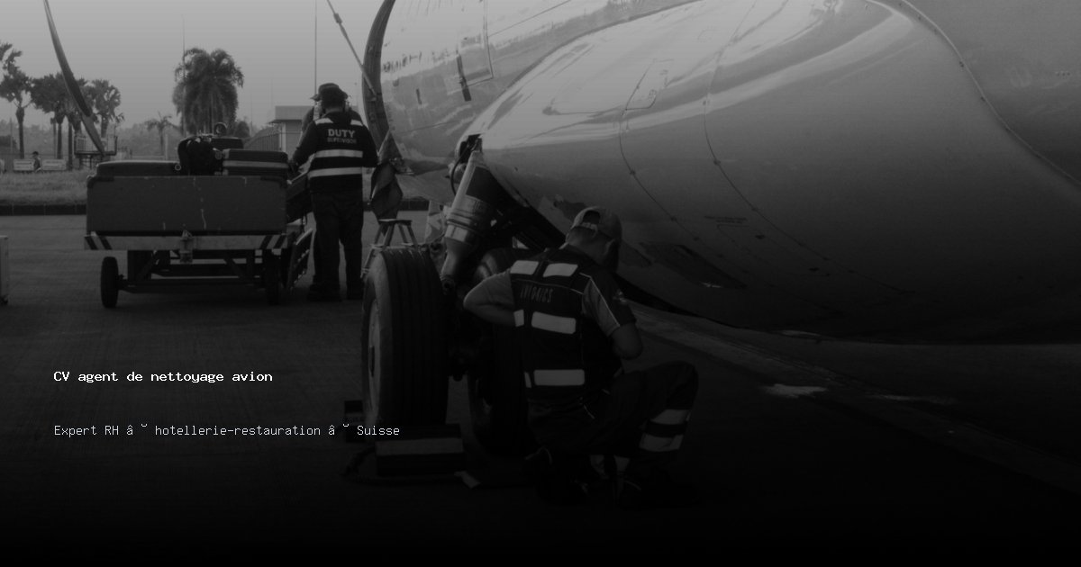 CV agent de nettoyage avion/agente de nettoyage avion — Exemple de CV Suisse