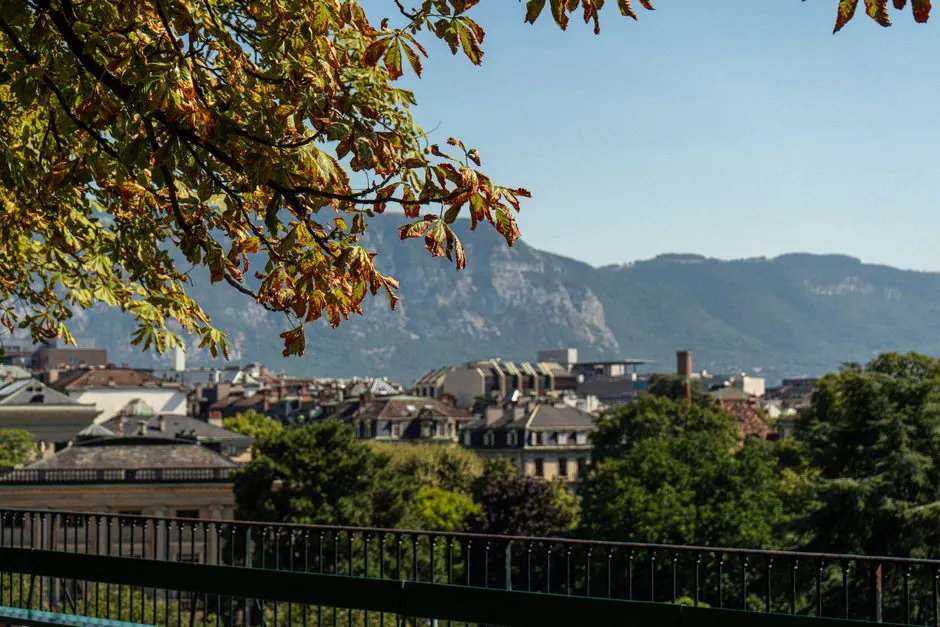 Équivalence des diplômes en Suisse : ce qui change en 2026