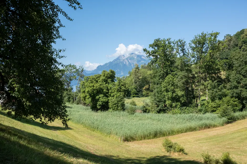 Superviseur paysagiste 100% - ISS Schweiz AG