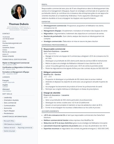 Aperçu du design de CV Design 04